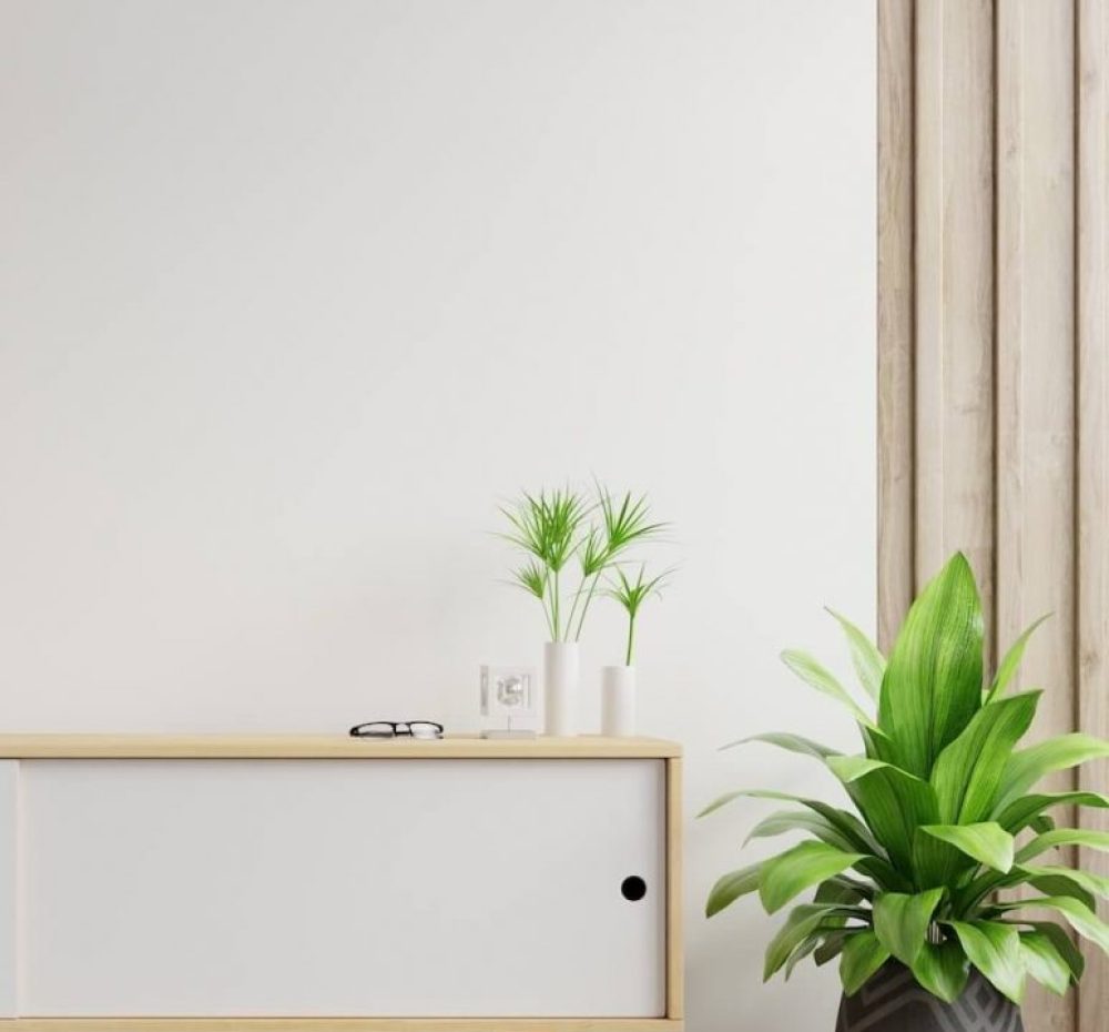 asset-1-2-1000x930 (1)