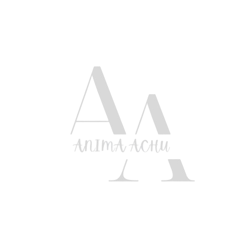 animaachu.com